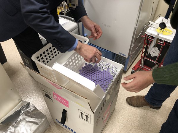 The first shipment of COVID-19 vaccine arrived Friday (Dec. 18) as Adventist Health officials transfer the vaccine to a freezer. Vaccinations will begin on frontline staff at the hospital next week. 